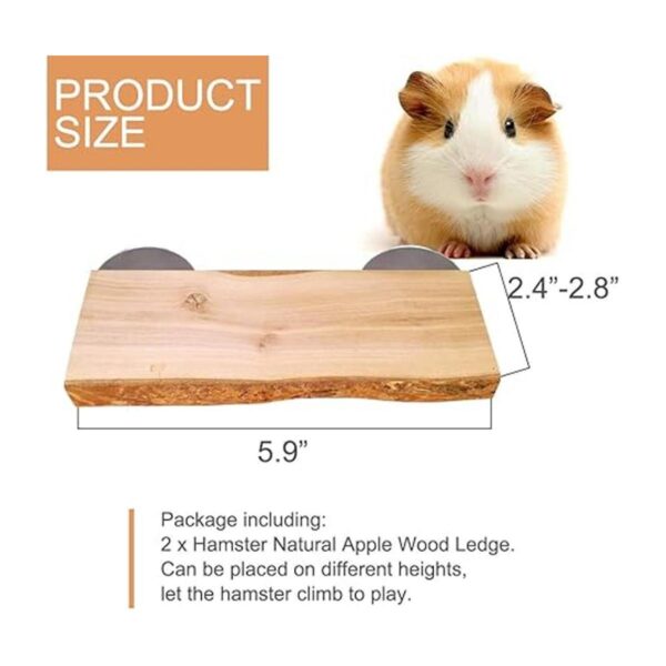 Chinchilla 2 piezas de madera natural plataforma de pie