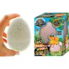 JARU. Juguete de dinosaurio en crecimiento de huevos de_1