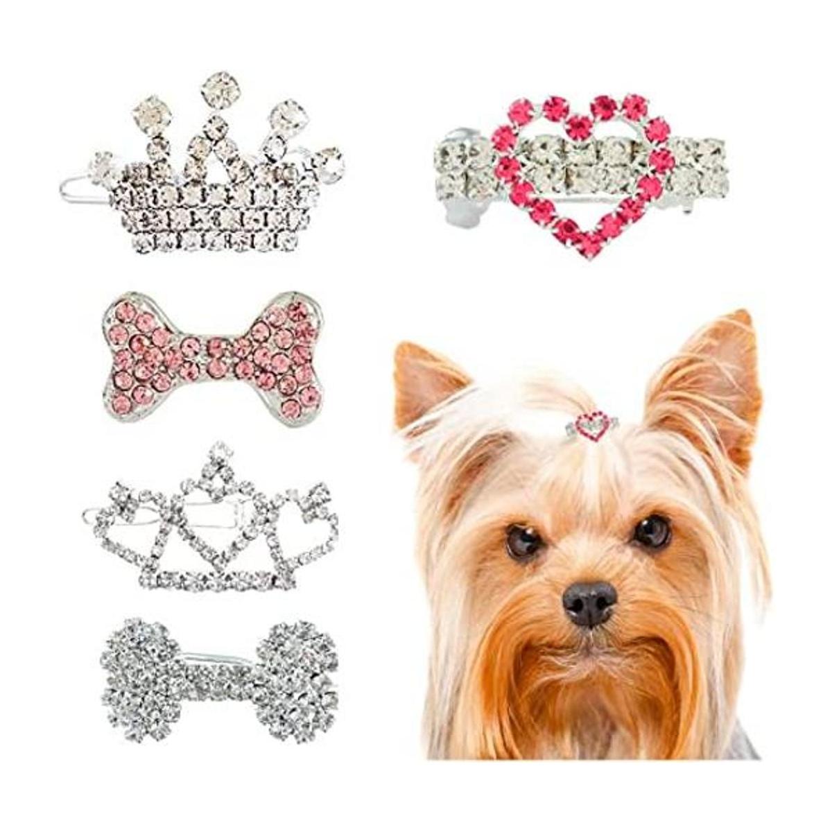 DaFuEn 5 piezas de accesorios de corona para perros