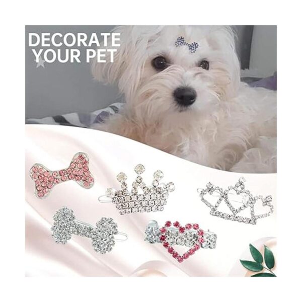 DaFuEn 5 piezas de accesorios de corona para perros