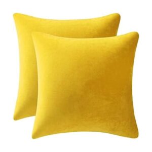 Dezene 2 fundas decorativas de terciopelo para almohada_1