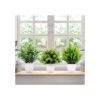Greentime Paquete de 3 mini plantas falsas en macetas