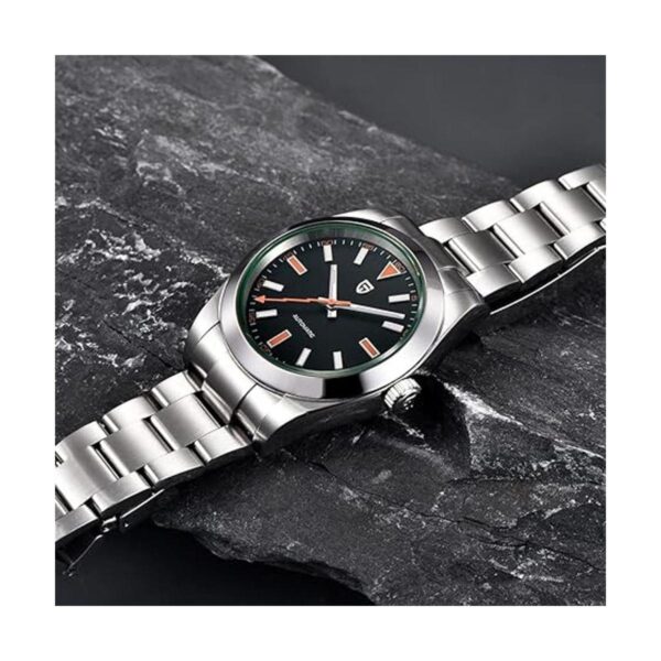Pagani Design 1733 Relojes automáticos para hombre_4