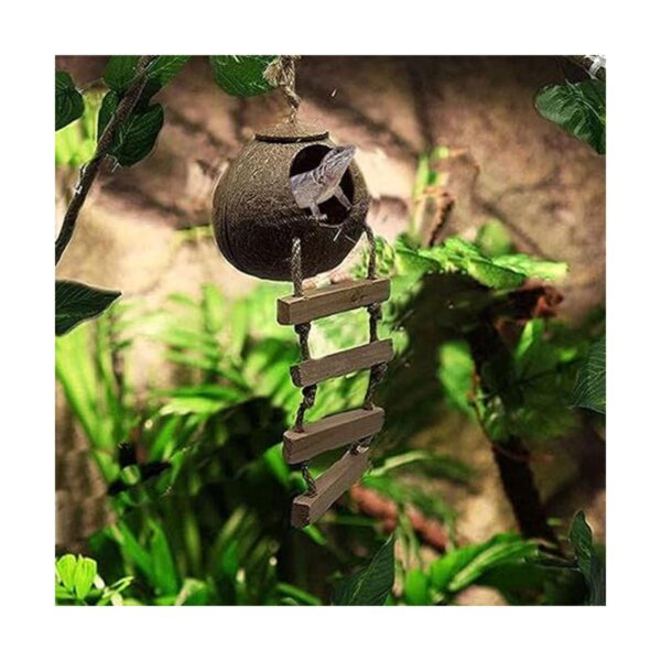 PINVNBY Crested Gecko Coco Hut con escalera lagarto