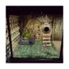 PINVNBY Crested Gecko Coco Hut con escalera lagarto