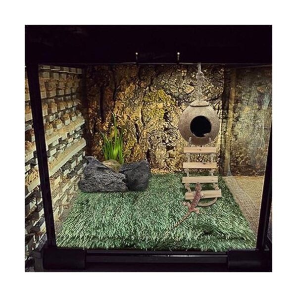 PINVNBY Crested Gecko Coco Hut con escalera lagarto