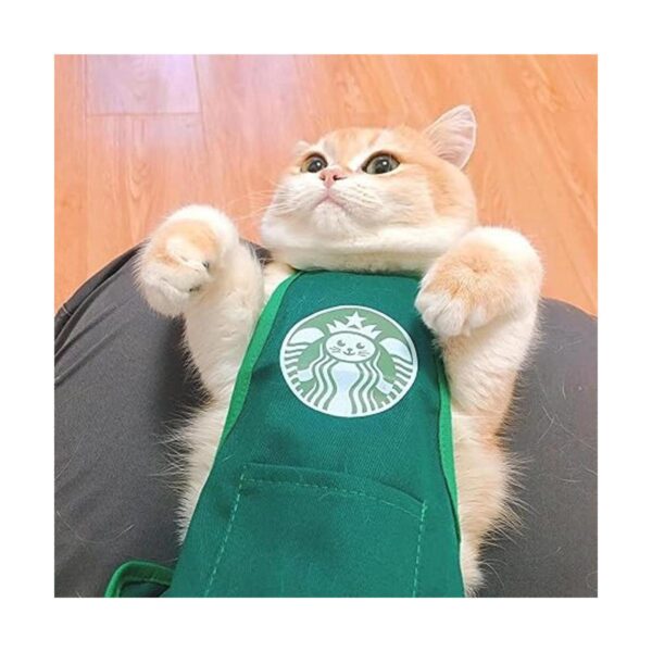 PDFT Ropa para mascotas para gatos ropa para mascotas_6
