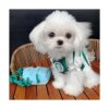 PDFT Ropa para mascotas para gatos ropa para mascotas_3