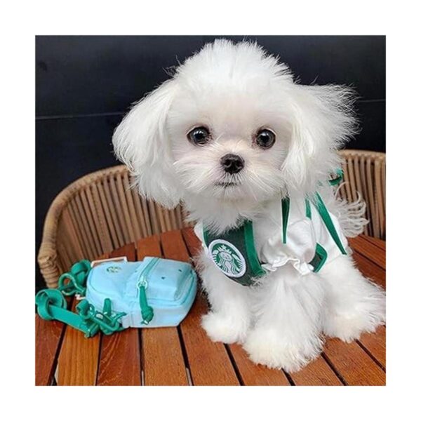 PDFT Ropa para mascotas para gatos ropa para mascotas_3