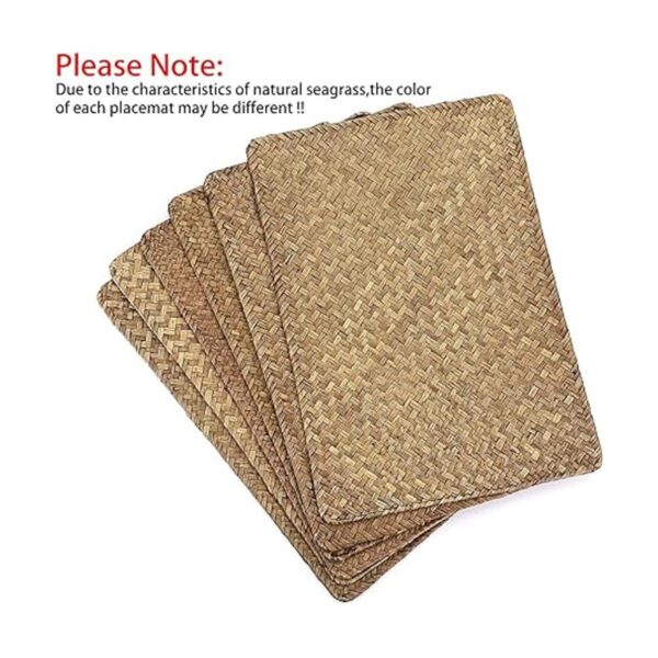 OwnMy Paquete de 6 manteles individuales naturales de