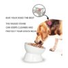 ONTUBE Cuenco de cerámica para gatos elevados o pequeños_4