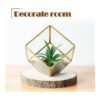 OBTANIM 5 piezas de rebanadas de madera natural de 7 a 8
