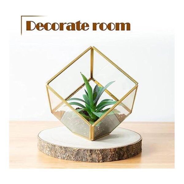 OBTANIM 5 piezas de rebanadas de madera natural de 7 a 8