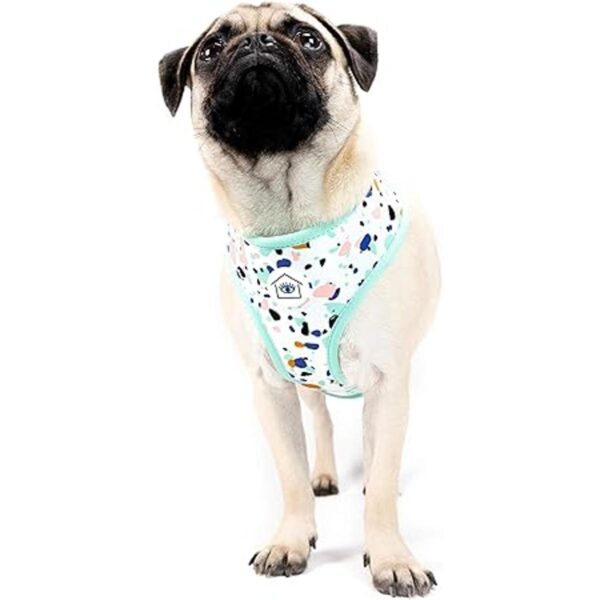 Now House Arnés reversible para mascotas elegante de