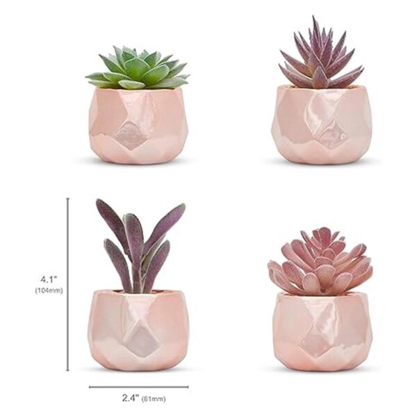 Nordik Juego de 4 plantas de escritorio en oro rosa_2