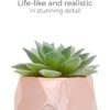 Nordik Juego de 4 plantas de escritorio en oro rosa_3