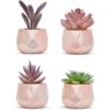 Nordik Juego de 4 plantas de escritorio en oro rosa_1