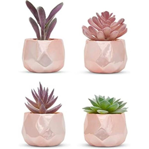 Nordik Juego de 4 plantas de escritorio en oro rosa_1