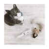 Neco ICHI CATS First Necoichi Purrfection Neat Easy Cat_3