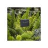 Navaris Marcadores de pizarra para jardín 10 unidades_2