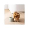 Navaris Cuenco elevado para perros y gatos cuenco de