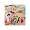 Name That Kitty Juego de gatos familiar para niños con_6
