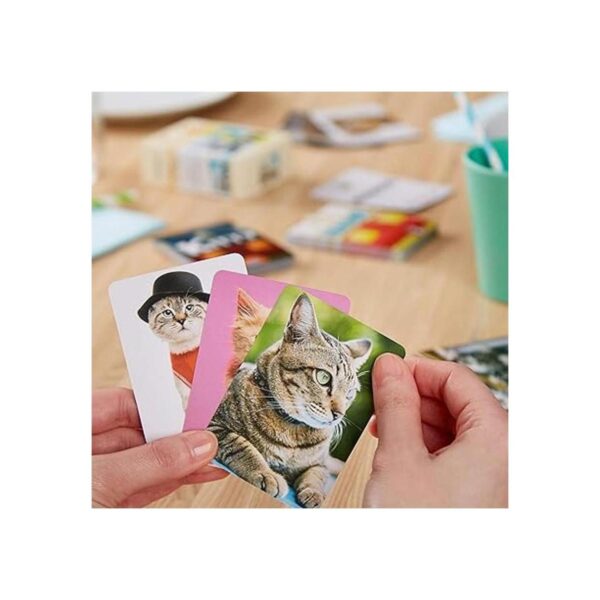 Name That Kitty Juego de gatos familiar para niños con_6