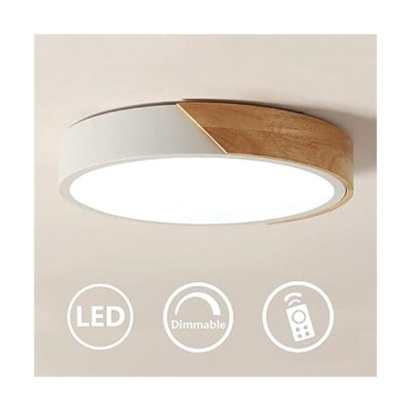 NOVO Light Lámpara de techo regulable de 19 pulgadas