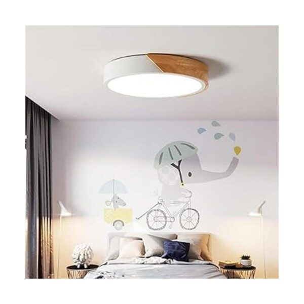 NOVO Light Lámpara de techo regulable de 19 pulgadas