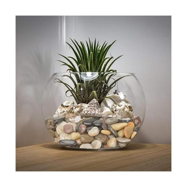 Mr. Figlass Piedras decorativas de piedra natural para_4