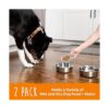 Mighty Paw Cuencos de acero inoxidable para perros_3