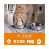 Mighty Paw Cuencos de acero inoxidable para perros_6