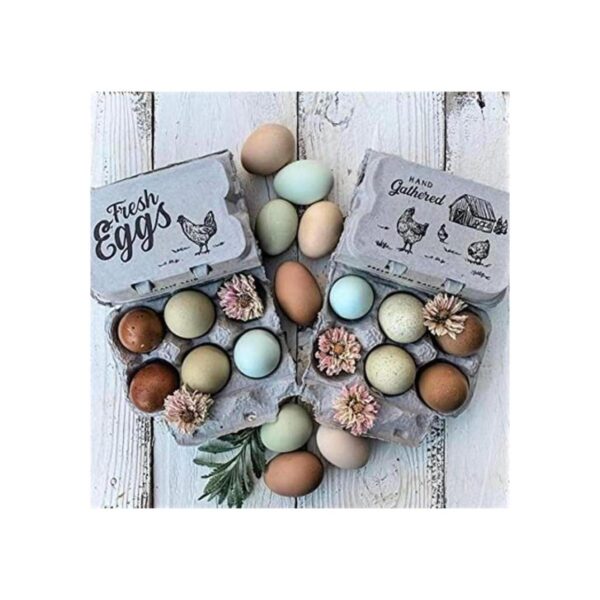 Media docena de cajas vacías para huevos 15 docenas