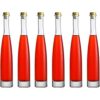 Maypink Botella de vidrio transparente paquete de 6_1