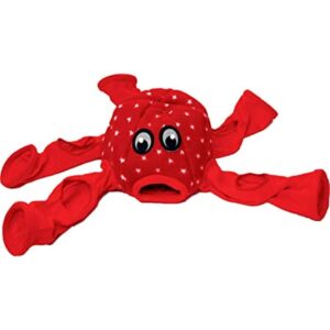 Marshall Ferret OctoPlay_1