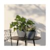 Macetas de jardín para interiores y exteriores con_2