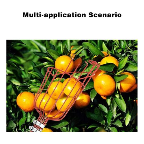 MIYA Herramienta para recoger frutas recogedor de frutas