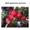 MIYA Herramienta para recoger frutas recogedor de frutas