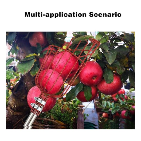 MIYA Herramienta para recoger frutas recogedor de frutas