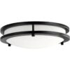 Luz de techo LED regulable de 10 pulgadas color negro_3