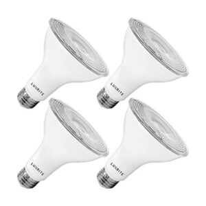 Luxrite Paquete de 4 bombillas LED PAR30 de inundación_1