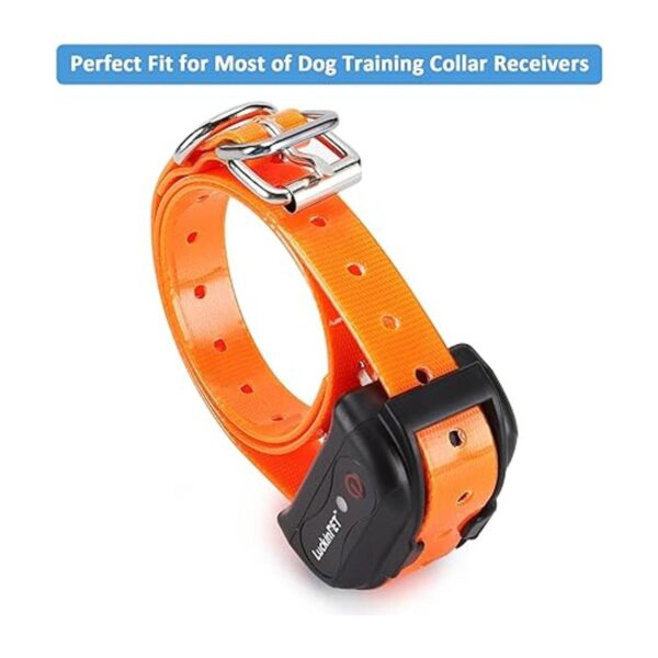 LuckinPET Correa de repuesto para collar de perro