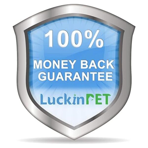 LuckinPET Correa de repuesto para collar de perro
