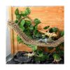 Los accesorios para hábitat de lagarto para reptiles