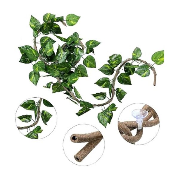Los accesorios para hábitat de lagarto para reptiles
