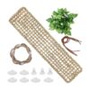 Los accesorios para hábitat de lagarto para reptiles