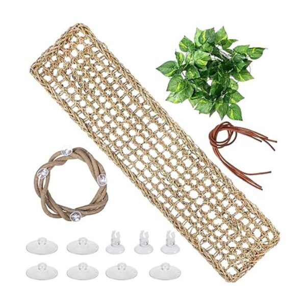 Los accesorios para hábitat de lagarto para reptiles