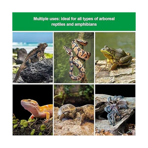 Los accesorios para hábitat de lagarto para reptiles