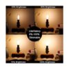 LiteHistory Bombilla LED B10 regulable de 6 W igual a 60_4