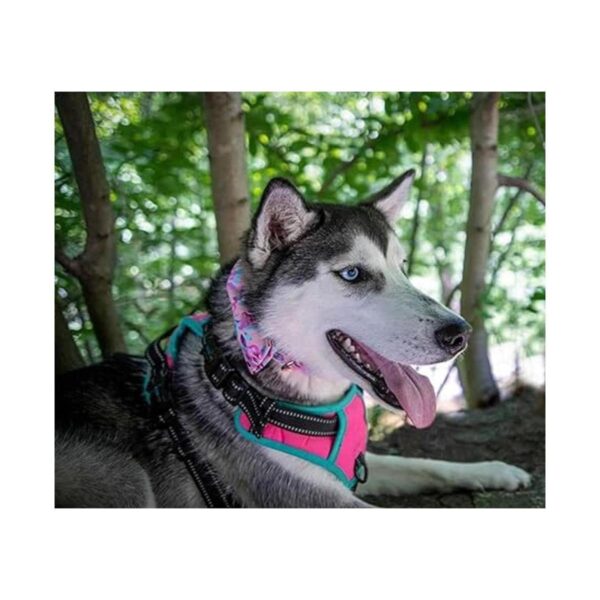 Lionheart glory Collar de perro con estampado floral de
